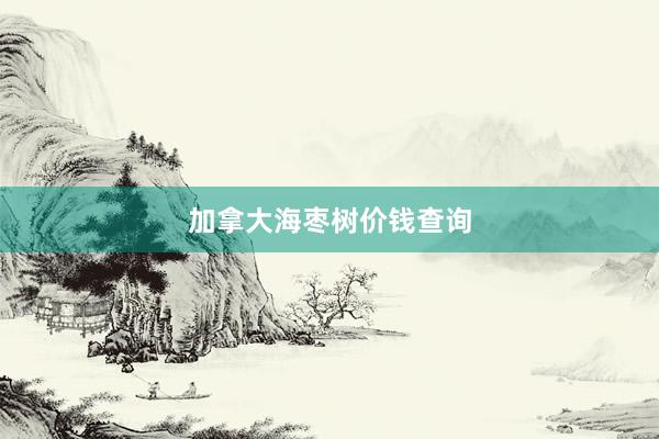 加拿大海枣树价钱查询